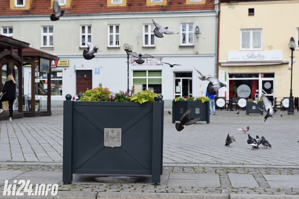 Nowe donice i kwietne ozdoby pojawiły się centrum
