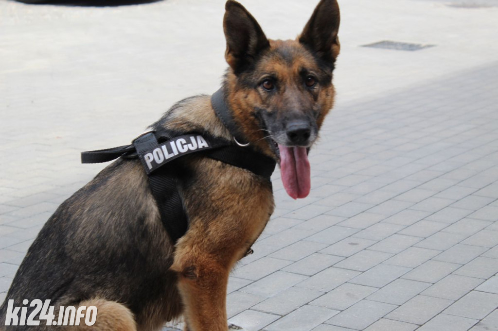 Policjant i jego pies