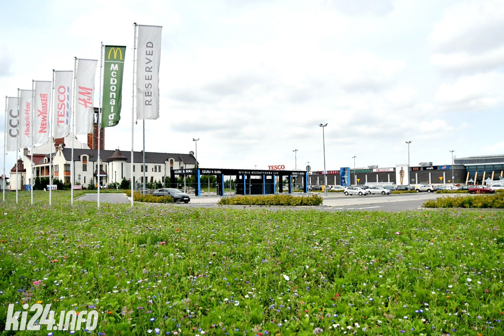 Kwietna łąka przy Galerii Solnej