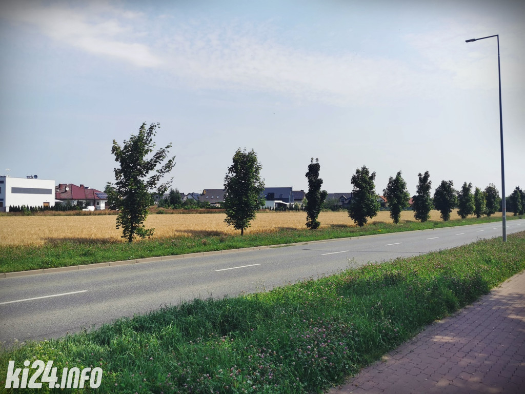 Odkrywamy ulice Pileckiego i Metalowców