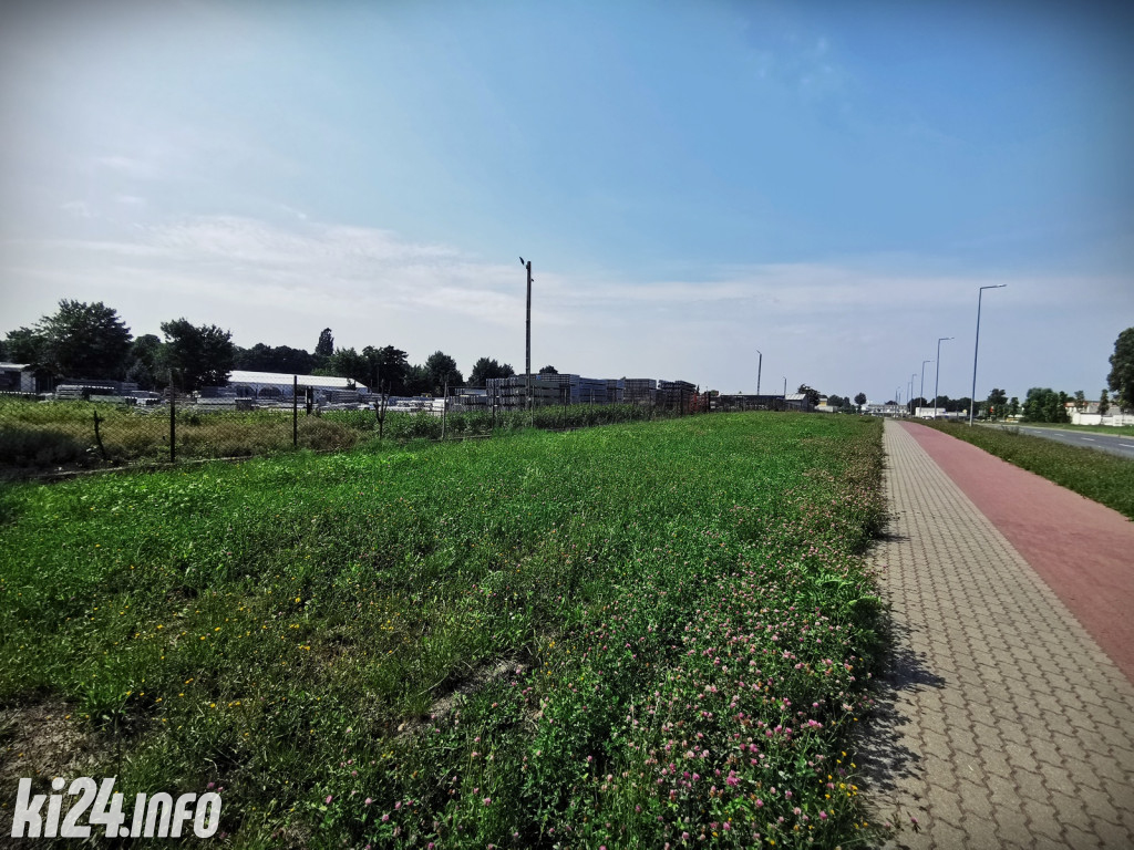 Odkrywamy ulice Pileckiego i Metalowców