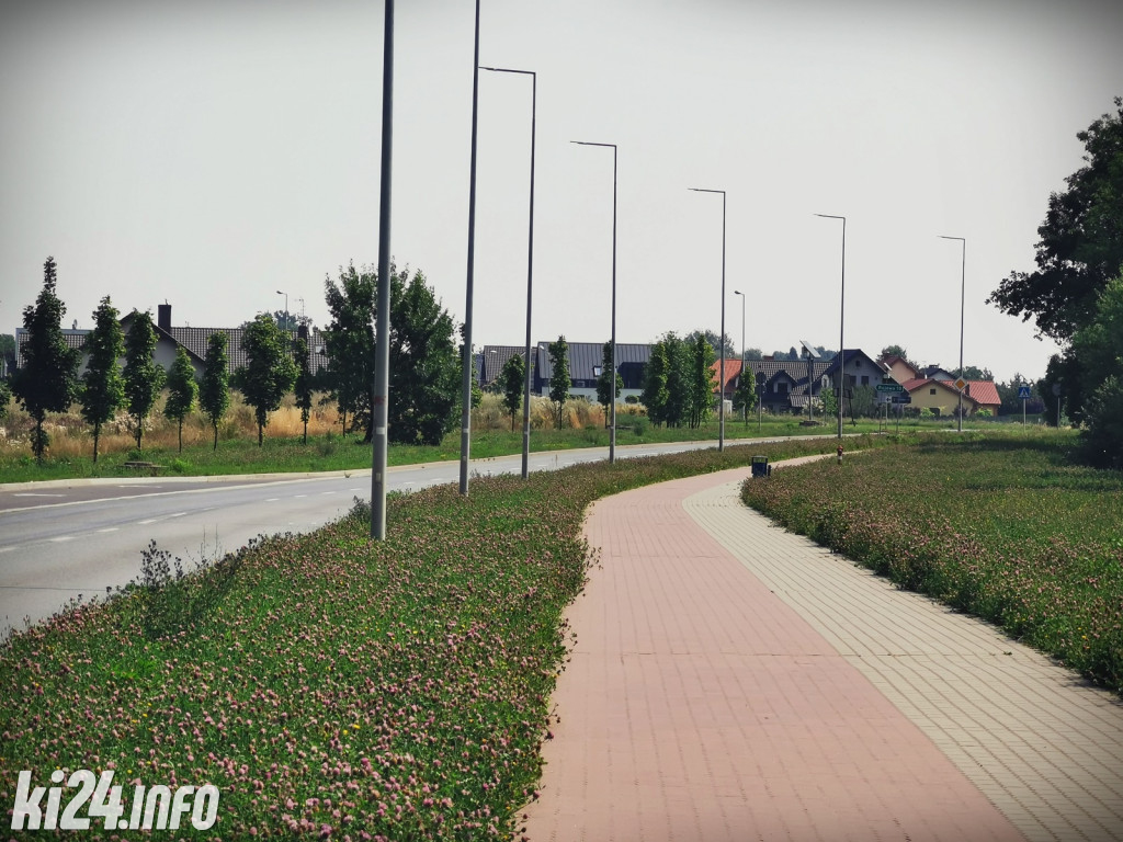 Odkrywamy ulice Pileckiego i Metalowców