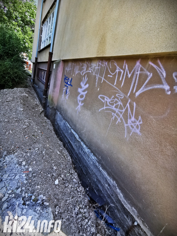 Konopa w remoncie