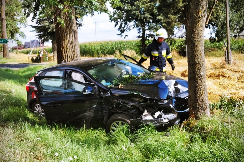 Wypadek pod Gniewkowem