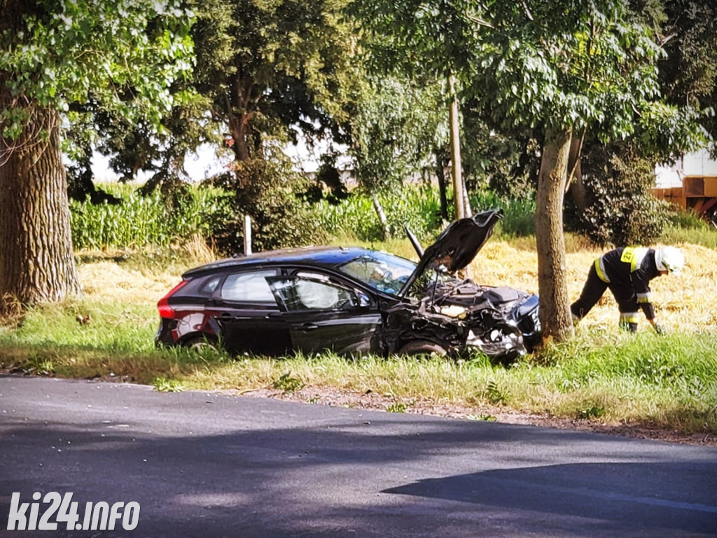 Wypadek pod Gniewkowem