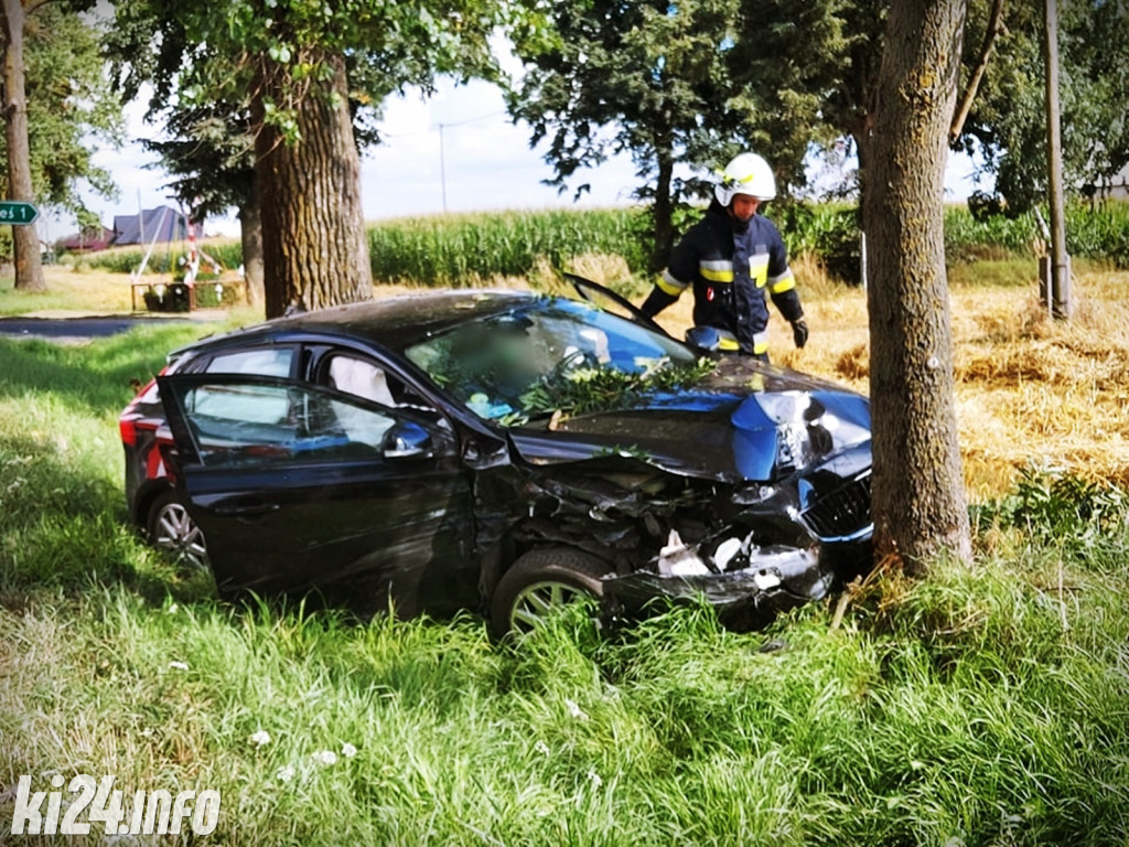 Wypadek pod Gniewkowem