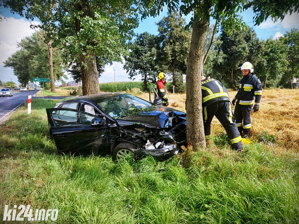 Wypadek pod Gniewkowem