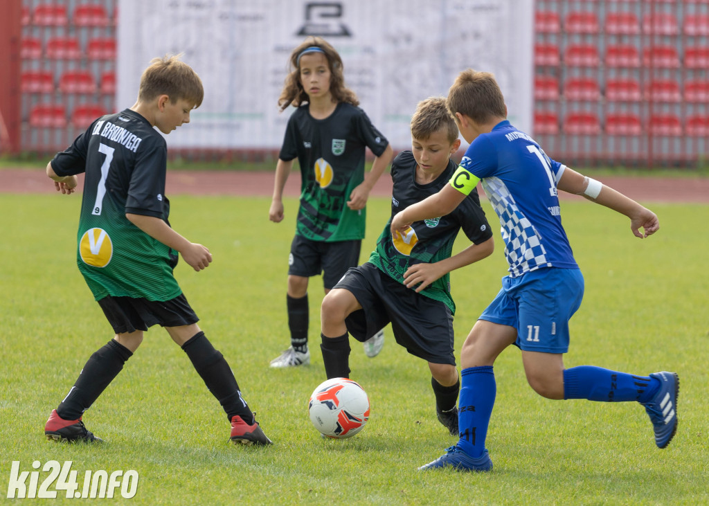 Cuiavia CUP