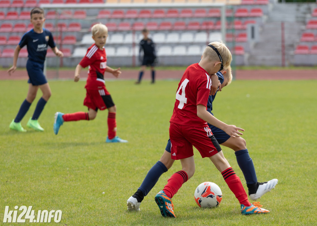 Cuiavia CUP