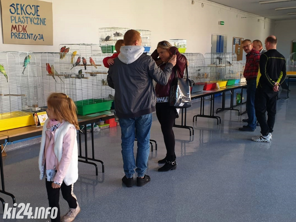 Wystawa ptaków egzotycznych w MDK