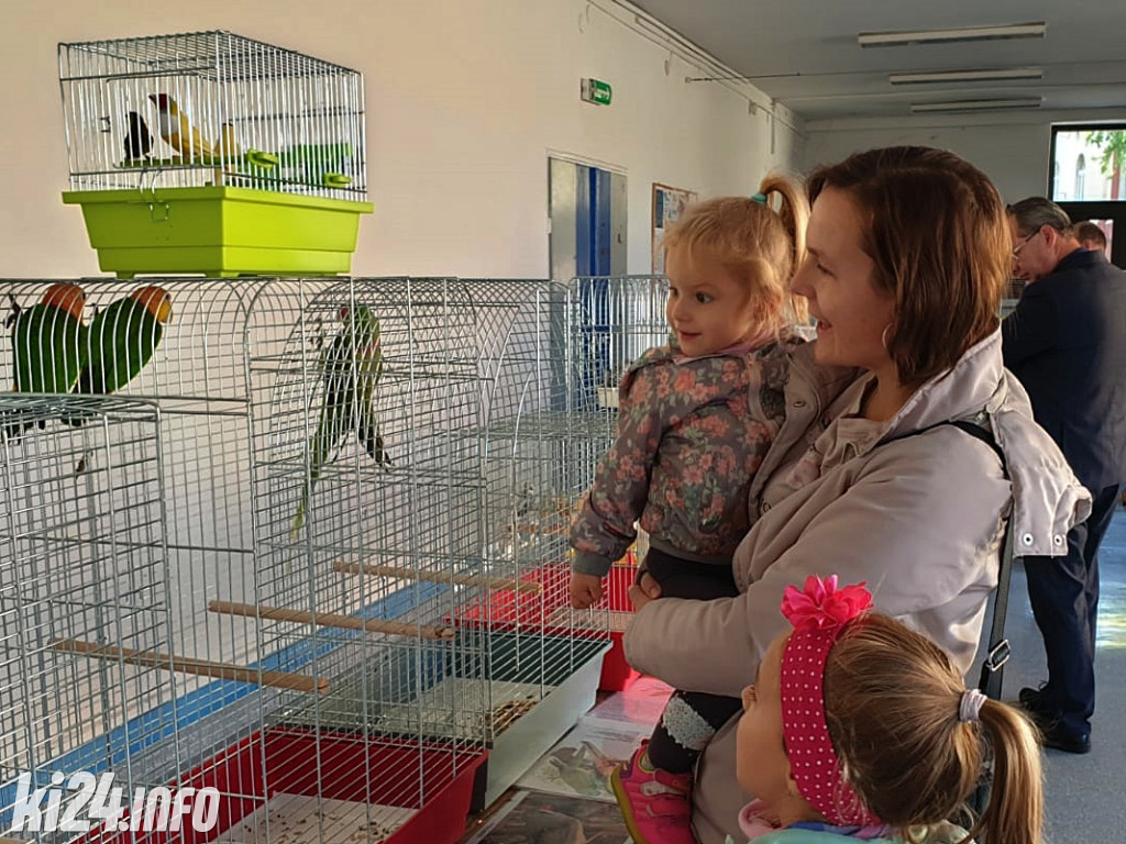 Wystawa ptaków egzotycznych w MDK