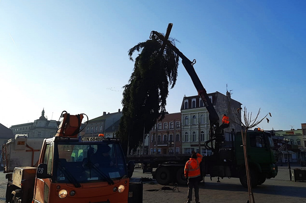 Choinka na inowrocławskim Rynku