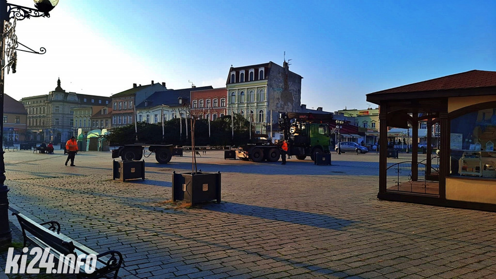 Choinka na inowrocławskim Rynku