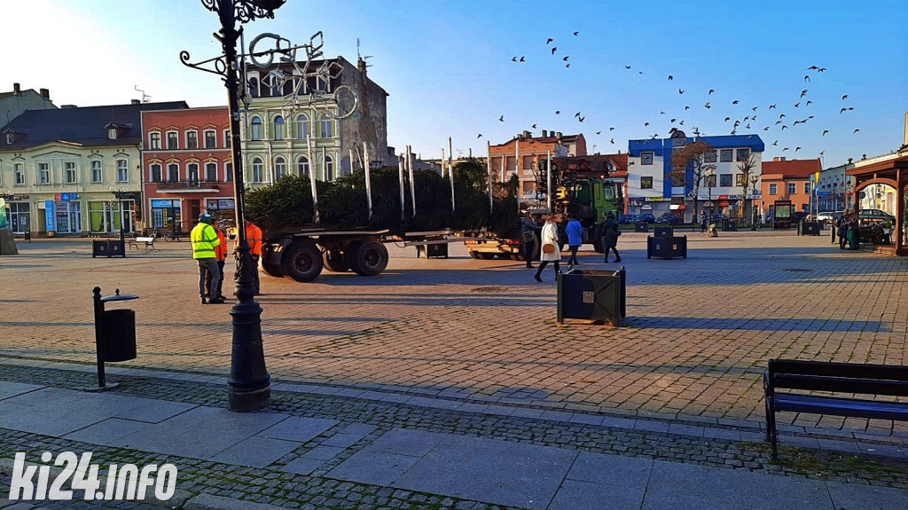 Choinka na inowrocławskim Rynku