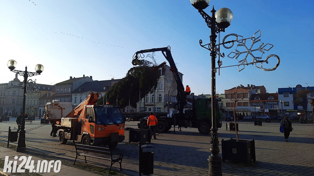 Choinka na inowrocławskim Rynku