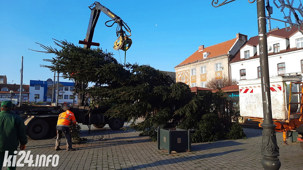 Choinka na inowrocławskim Rynku