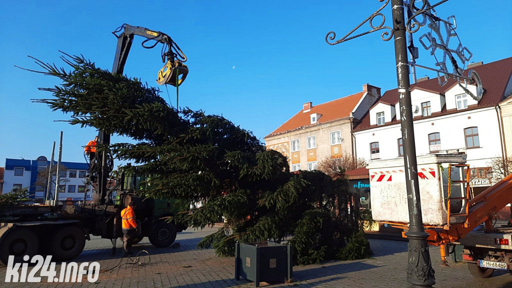 Choinka na inowrocławskim Rynku