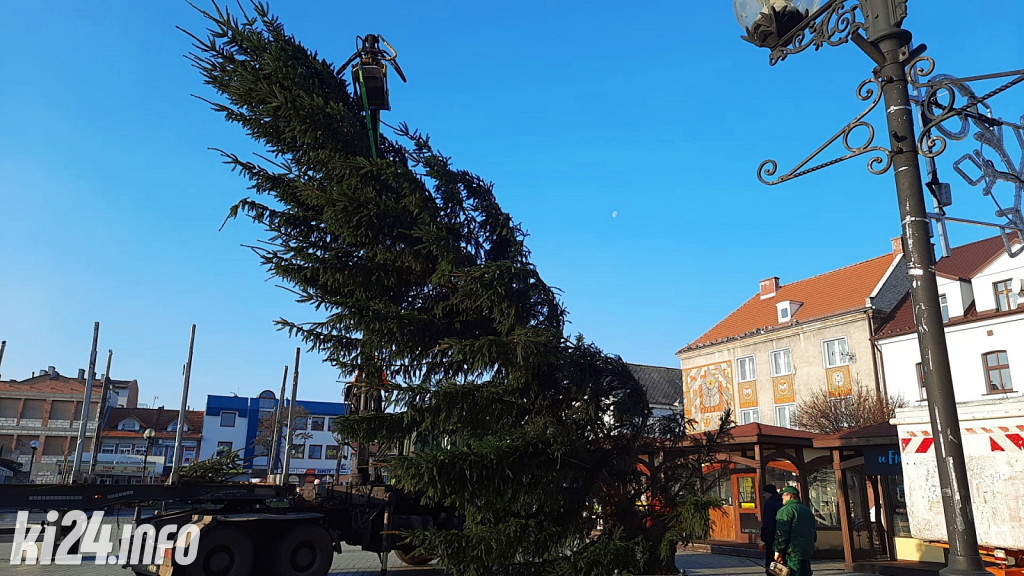 Choinka na inowrocławskim Rynku