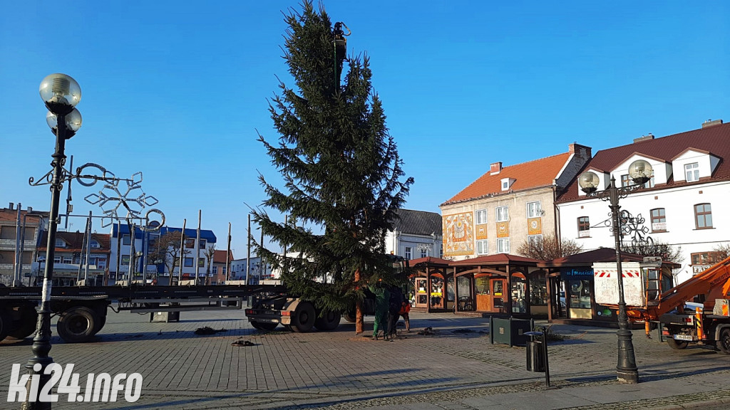 Choinka na inowrocławskim Rynku