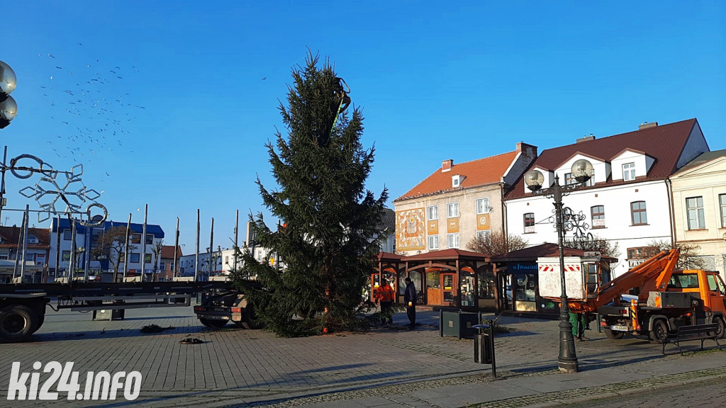 Choinka na inowrocławskim Rynku