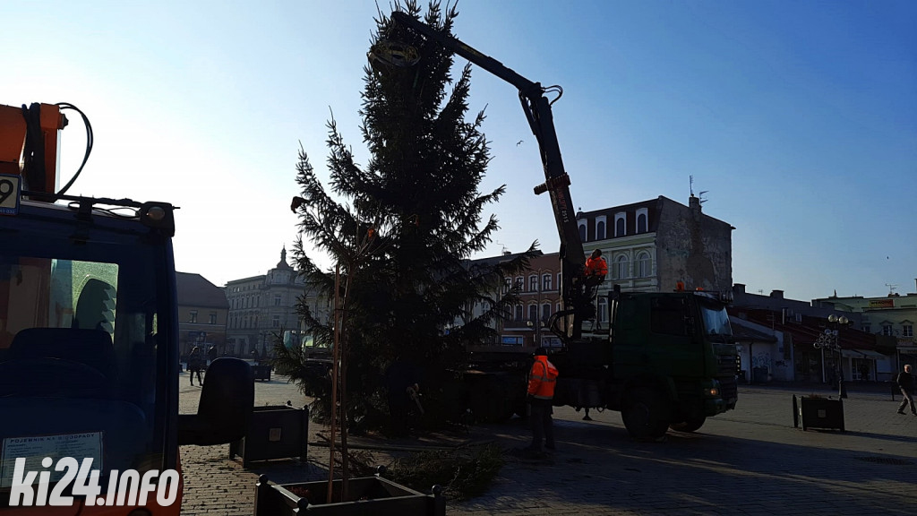 Choinka na inowrocławskim Rynku