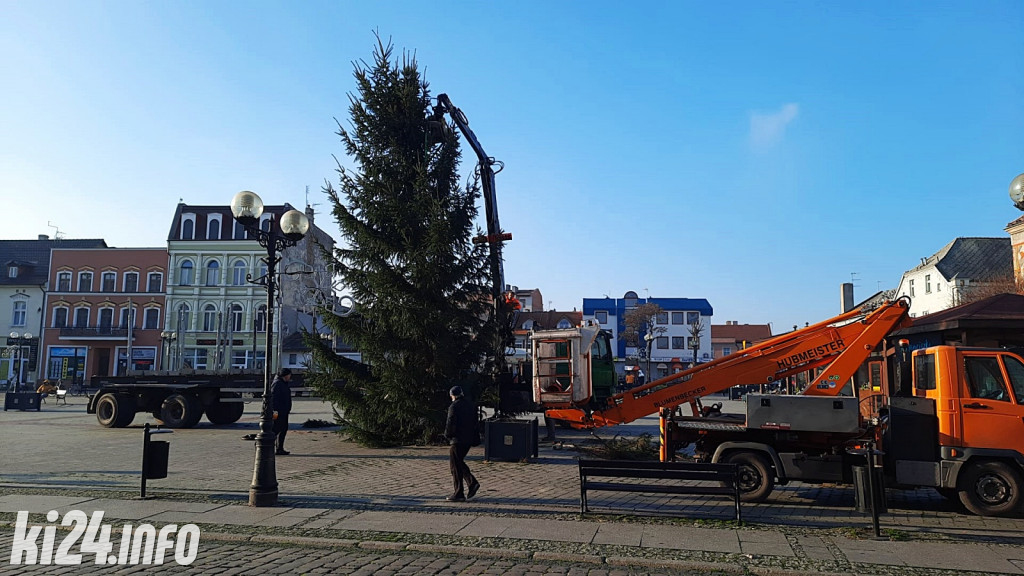 Choinka na inowrocławskim Rynku