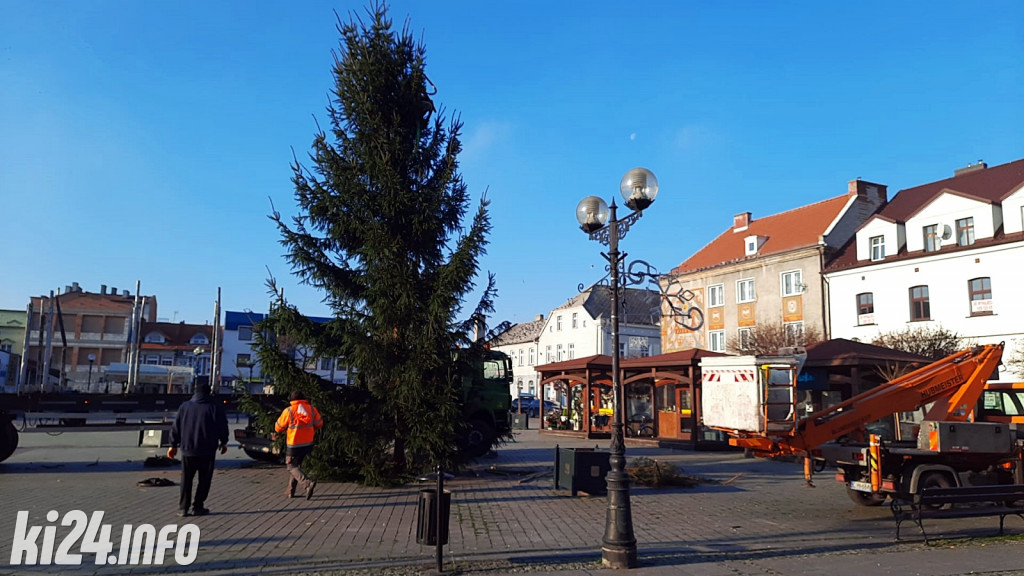 Choinka na inowrocławskim Rynku
