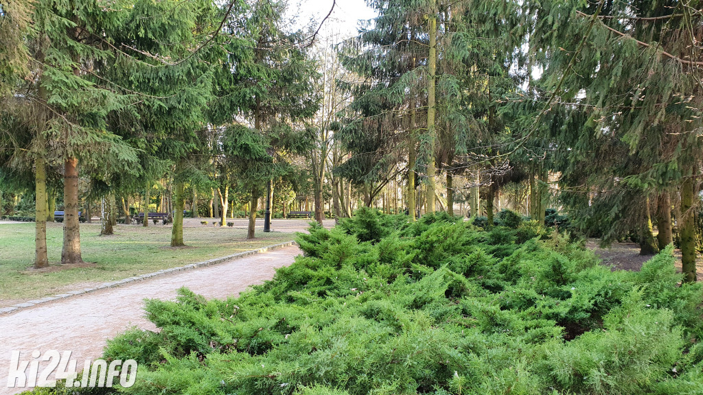 Popołudniowy spacer po Solankach