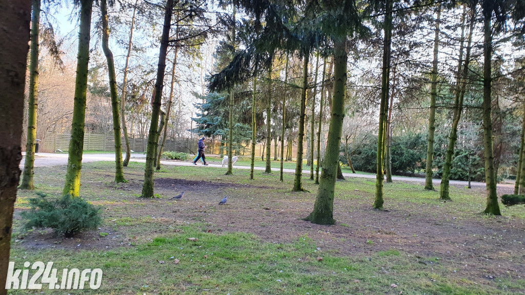 Popołudniowy spacer po Solankach