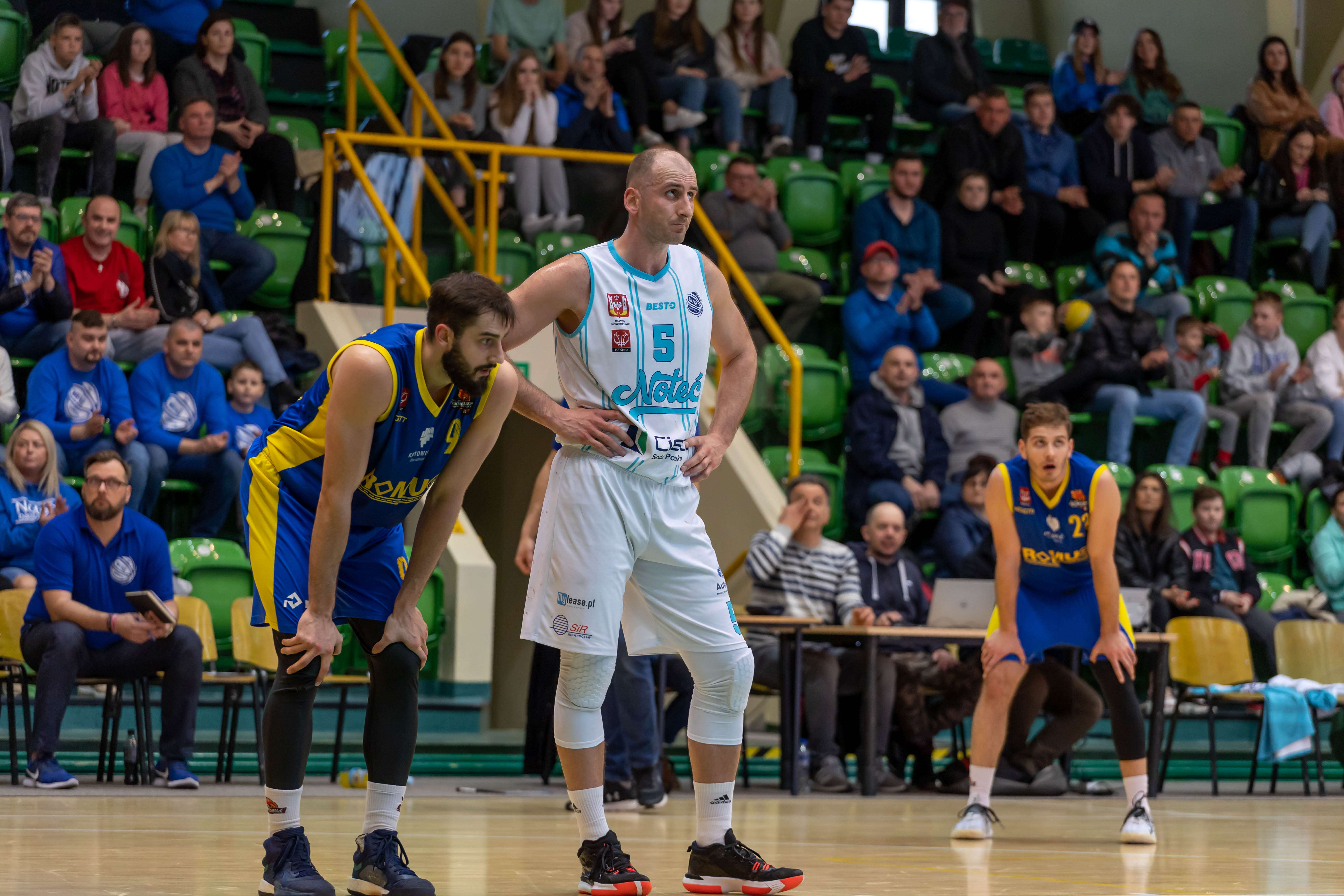 KSK Ciech Noteć Inowrocław - AZS AWF Mickiewicz Romus Katowice