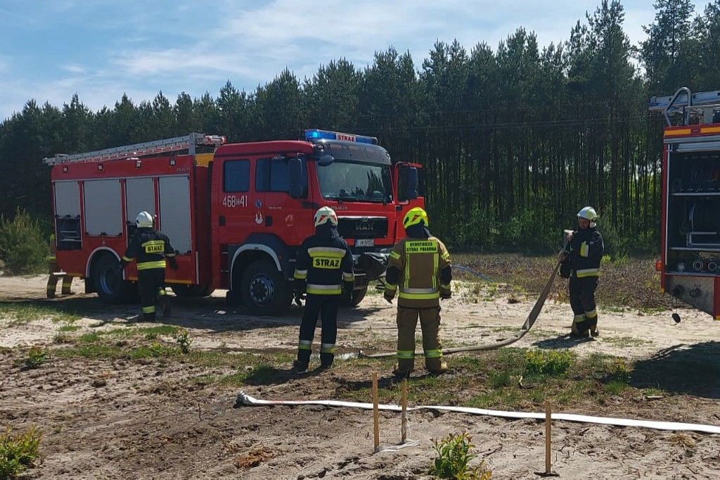Pożar lasu pod Gniewkowem