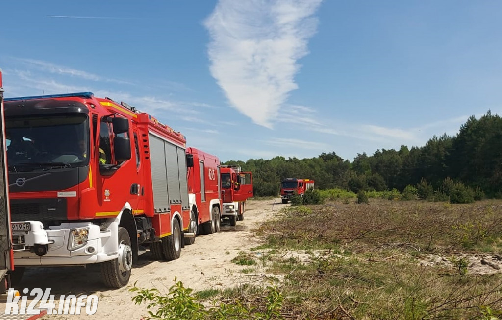 Pożar lasu pod Gniewkowem