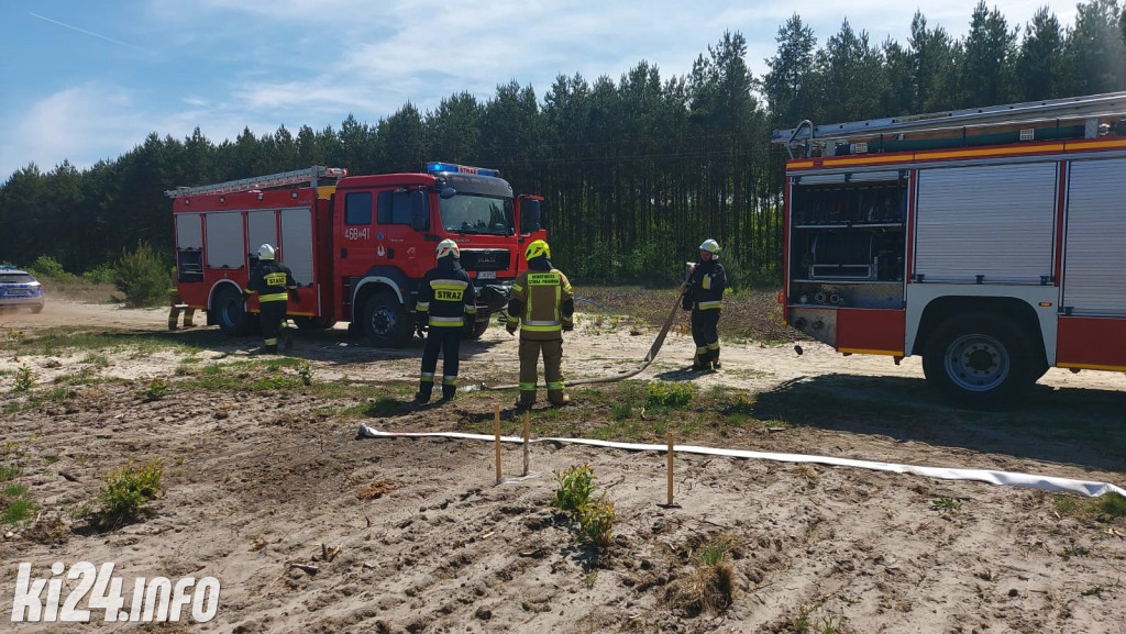 Pożar lasu pod Gniewkowem