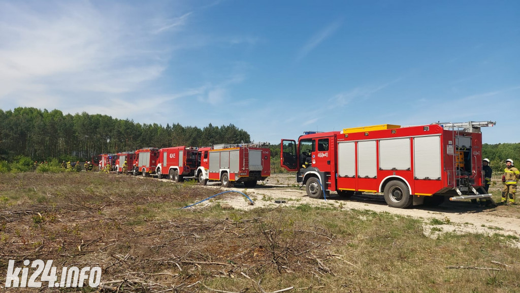 Pożar lasu pod Gniewkowem