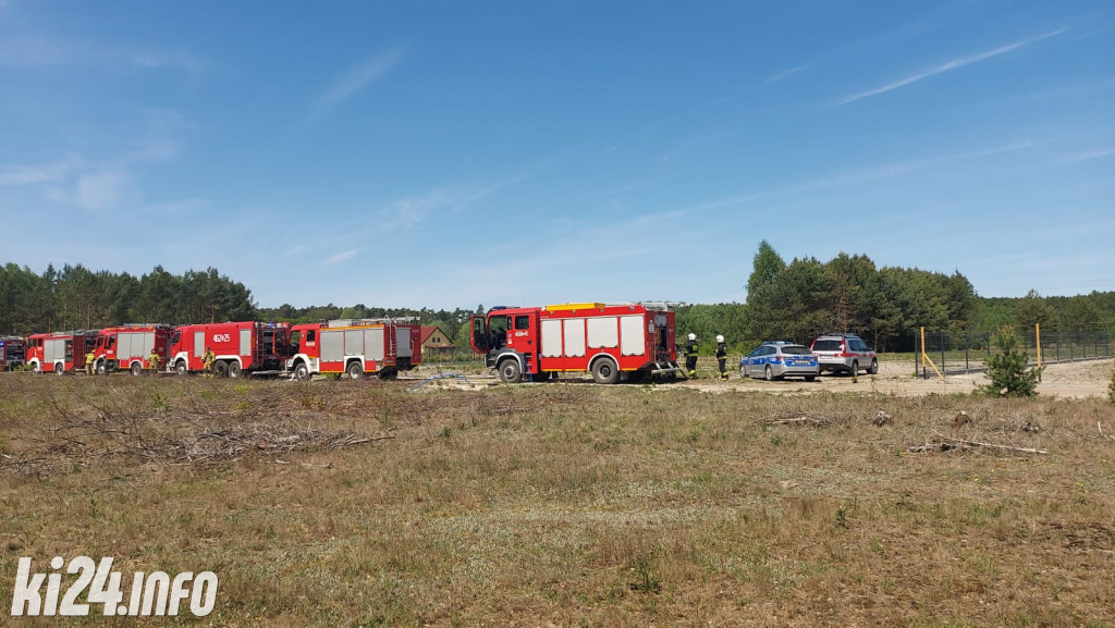 Pożar lasu pod Gniewkowem