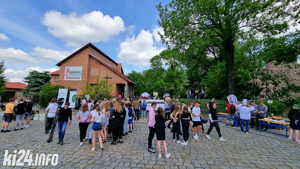 Festiwal Zawodów 
