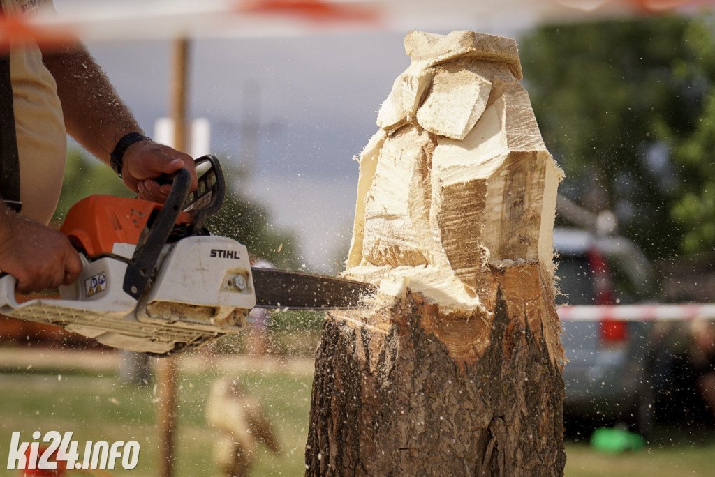 Speed carving w Łojewie