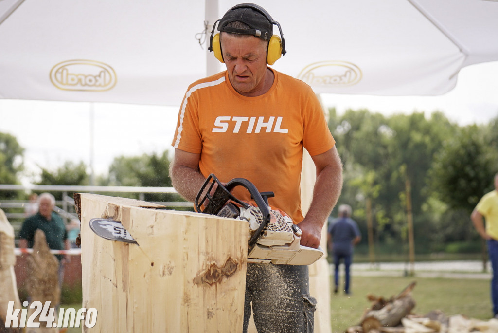 Speed carving w Łojewie