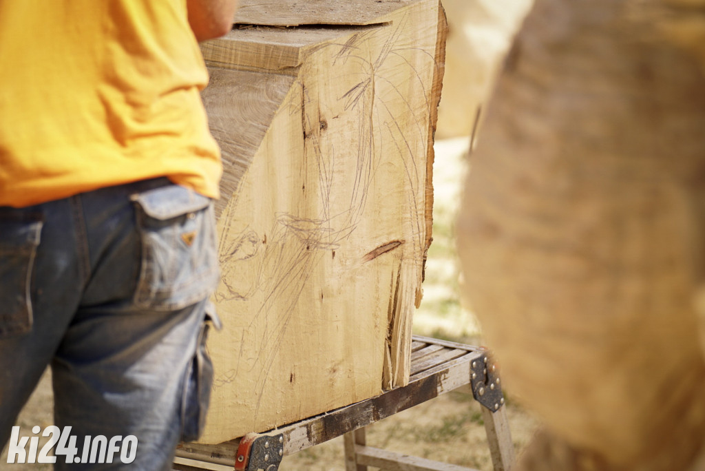 Speed carving w Łojewie