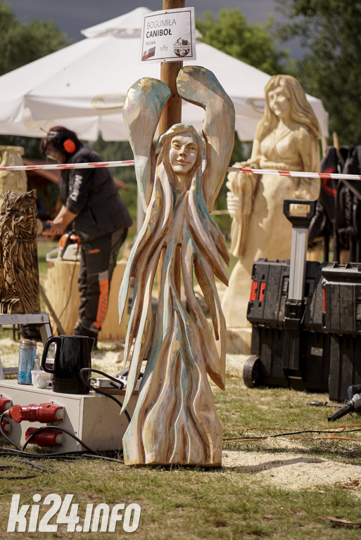 Speed carving w Łojewie