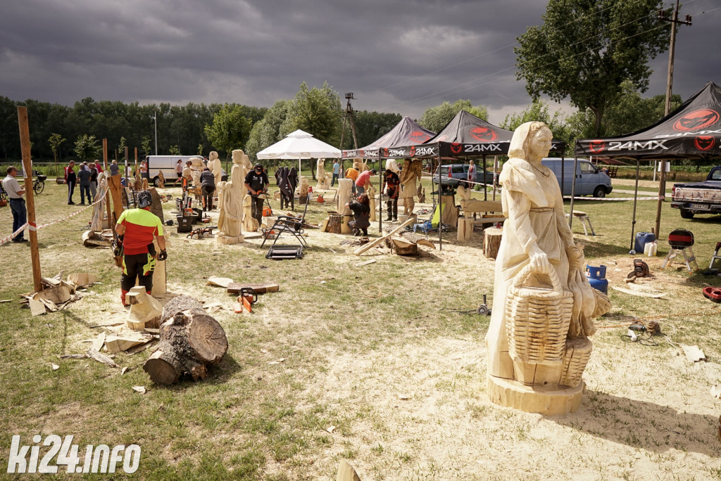 Speed carving w Łojewie