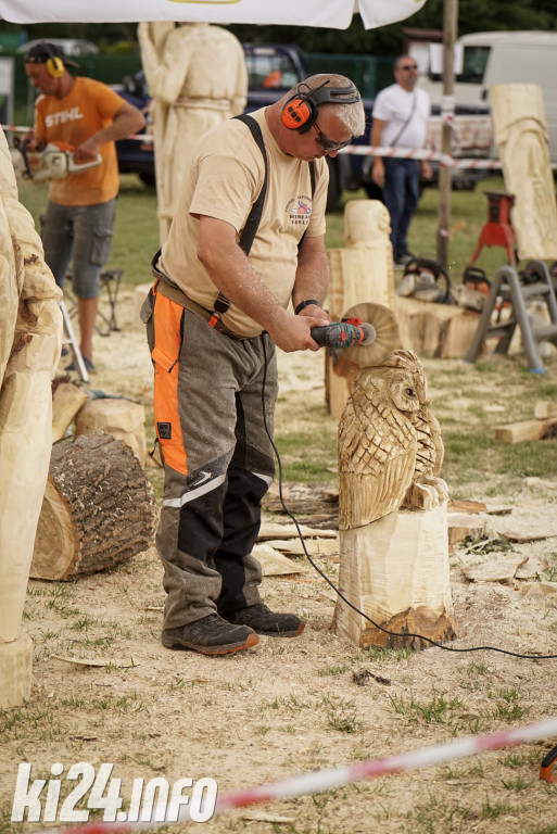 Speed carving w Łojewie