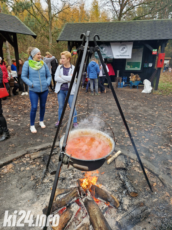 Piknik 