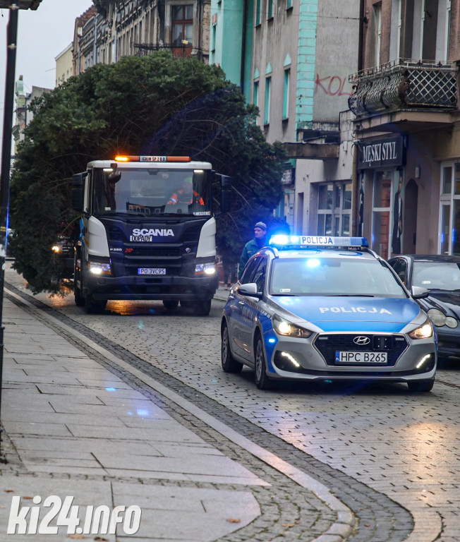 Choinka na inowrocławskim Rynku