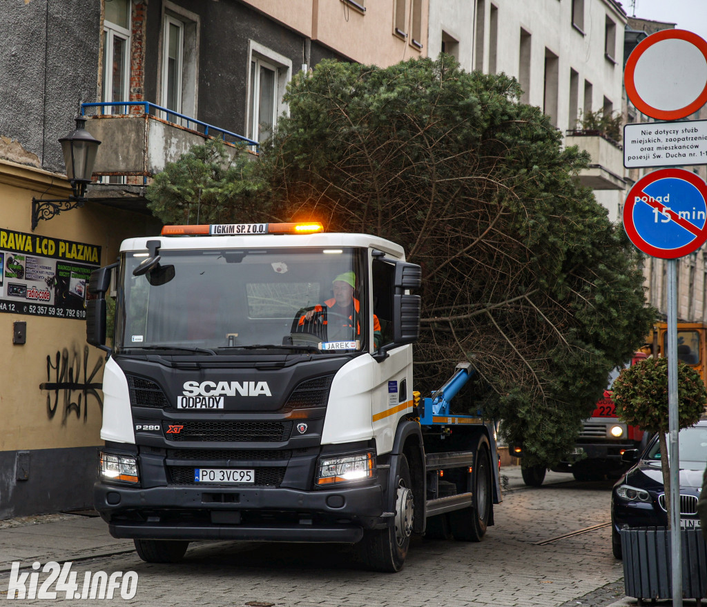 Choinka na inowrocławskim Rynku