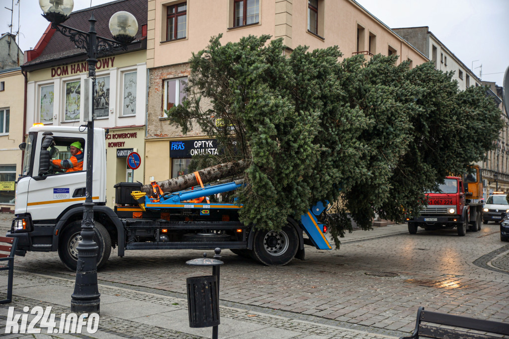 Choinka na inowrocławskim Rynku