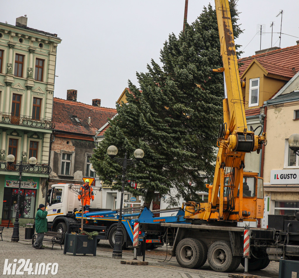 Choinka na inowrocławskim Rynku