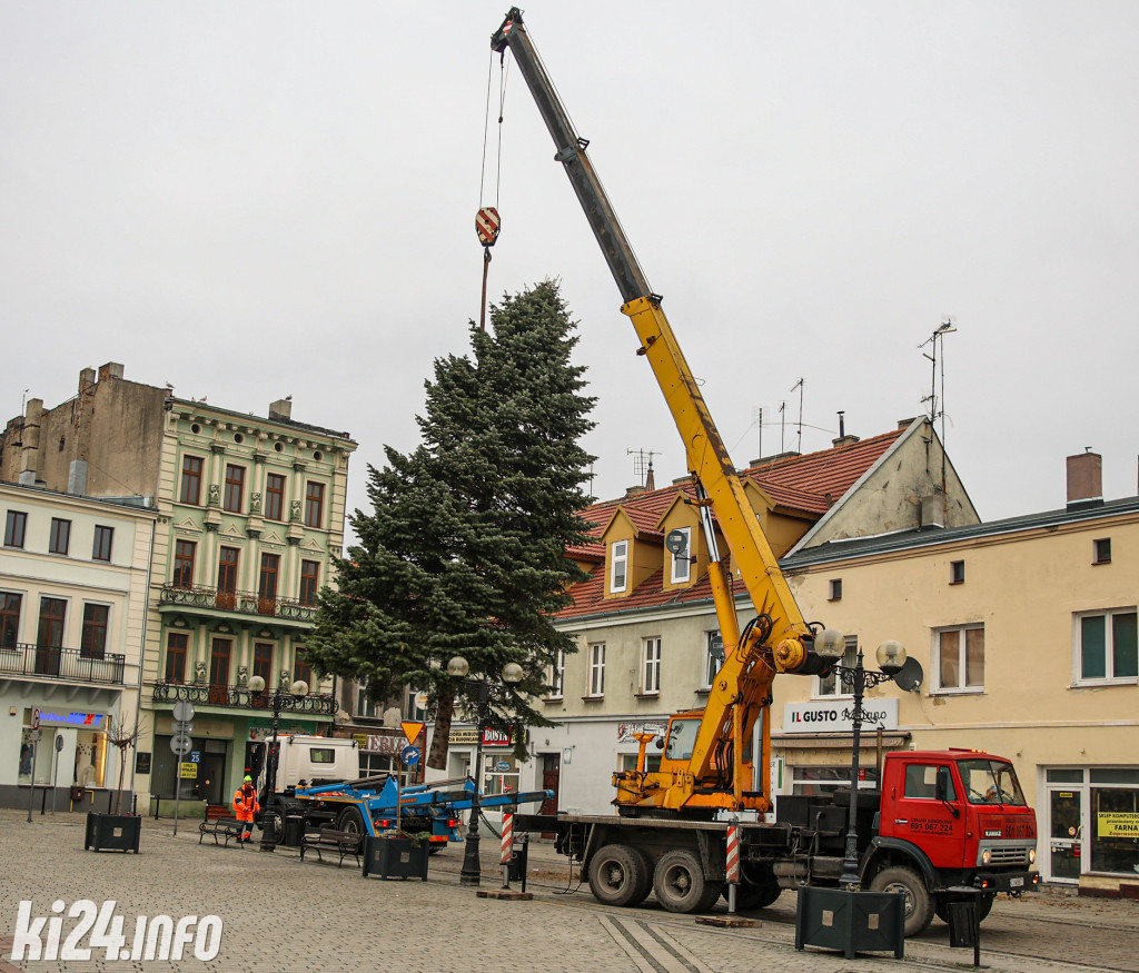 Choinka na inowrocławskim Rynku