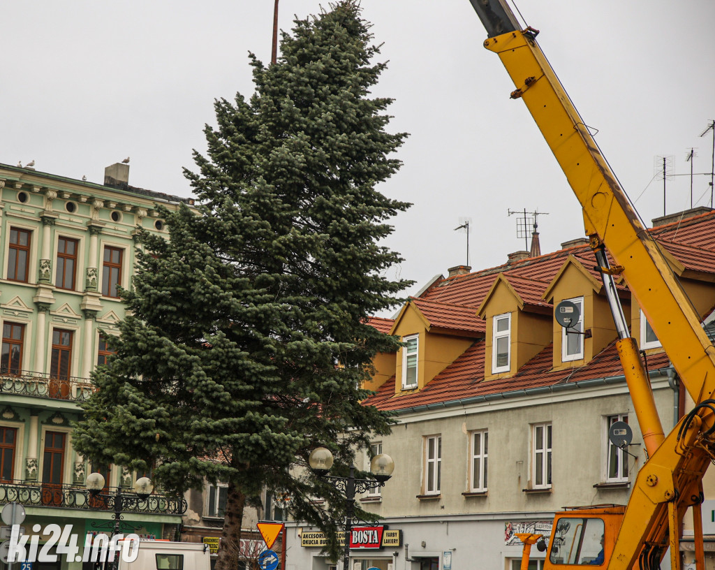 Choinka na inowrocławskim Rynku