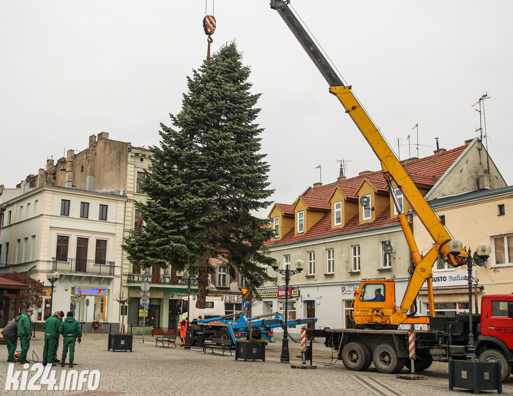 Choinka na inowrocławskim Rynku